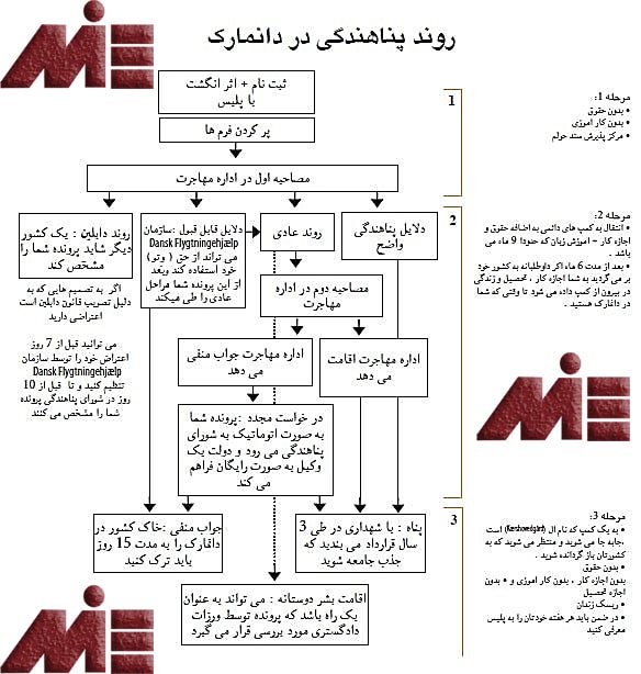 گراف راهنمای گام به گام پناهندگی دانمارک