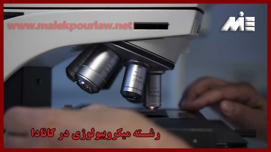 تحصیل در رشته میکروبیولوژی در کانادا و ویزای همراه