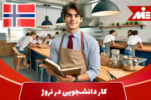 مزایا کار دانشجویی در نروژ